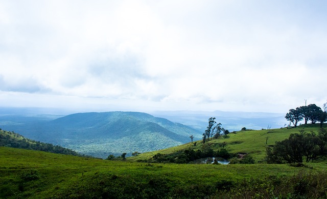 般的蜕变时 般的蜕变时
