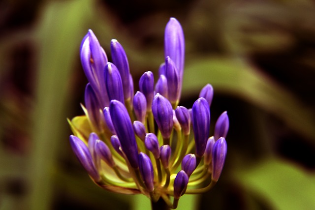 这两支球队 这两支球队