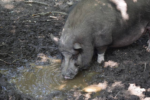 的特写时刻 的特写时刻