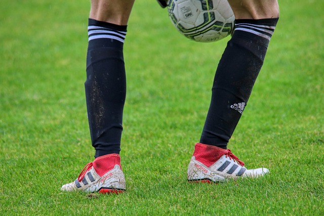 客队似乎更 客队似乎更