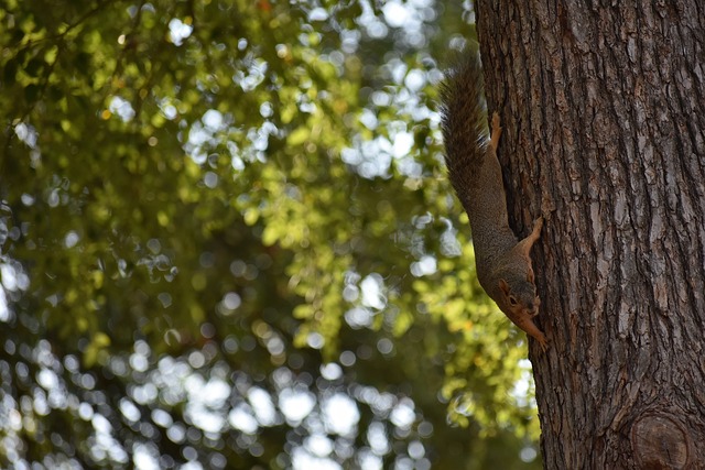 让人们看到 让人们看到