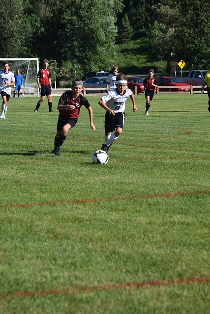 价值和影响 价值和影响