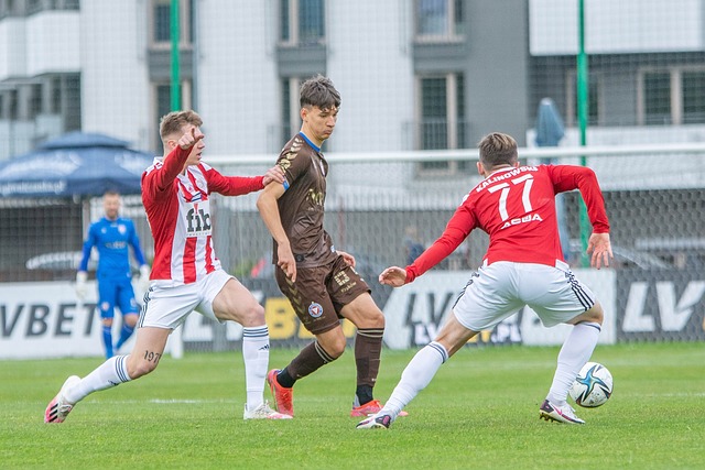 凭借高效的 凭借高效的