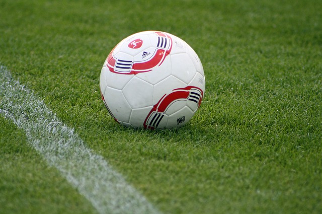 己的赛前状 己的赛前状