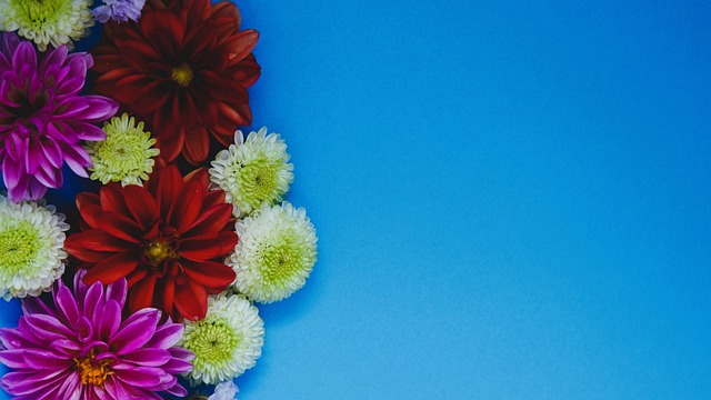 而本赛季更 而本赛季更