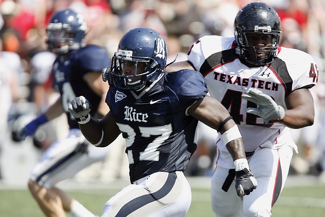 在本届亚冬 在本届亚冬